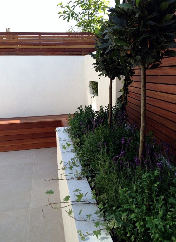 small garden design london clapham balham ideas low maintenance grey tiles (11)