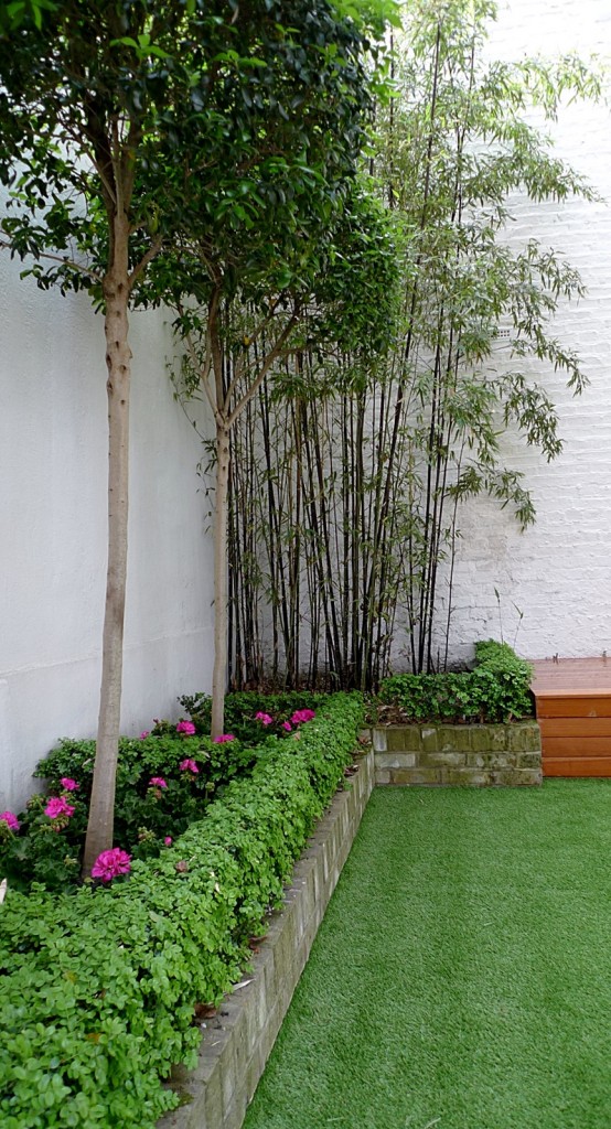 amazing planting scheme chelsea fulham battersea london