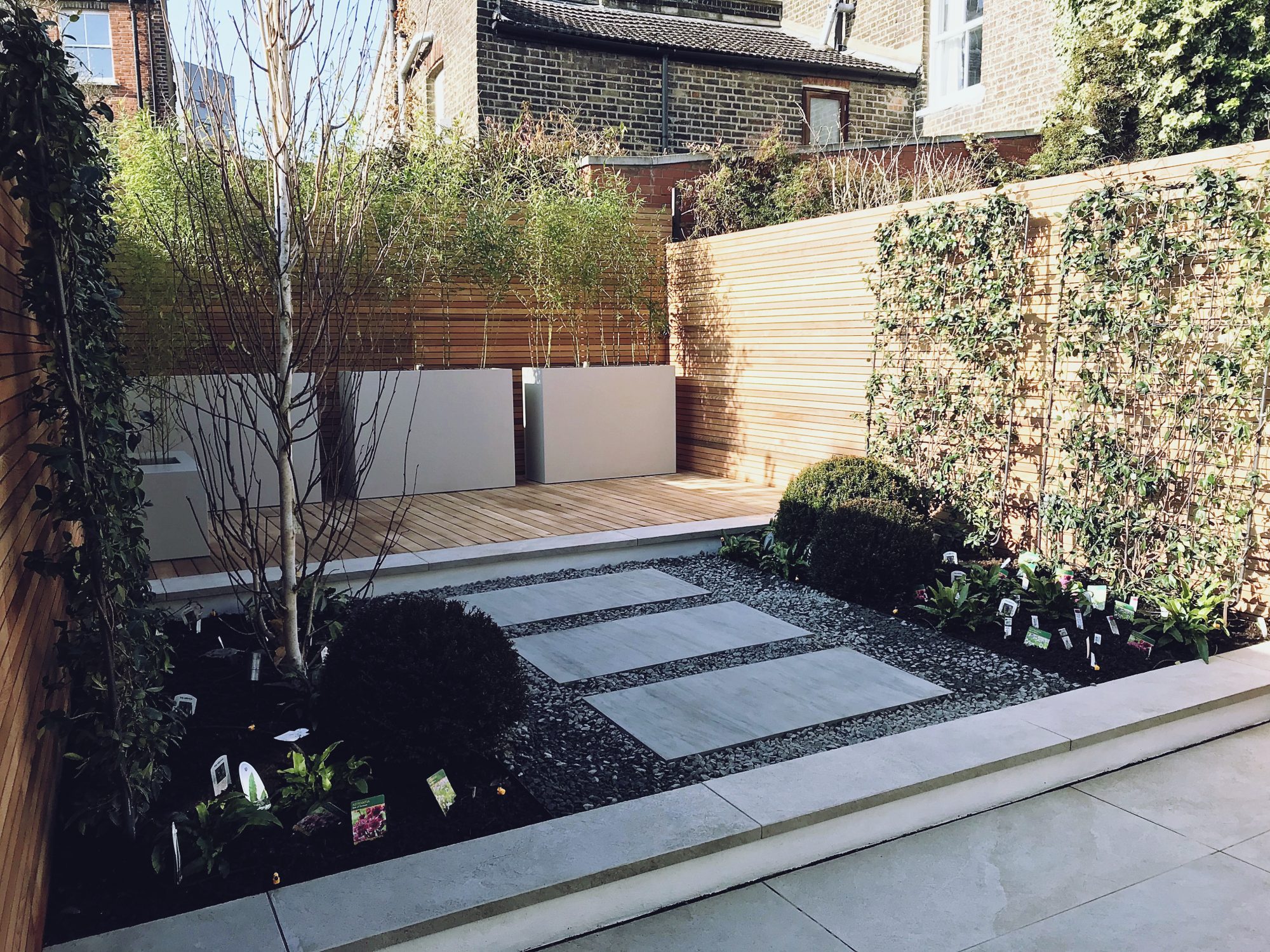 Modern contemporary garden design London balau decking jasmine living